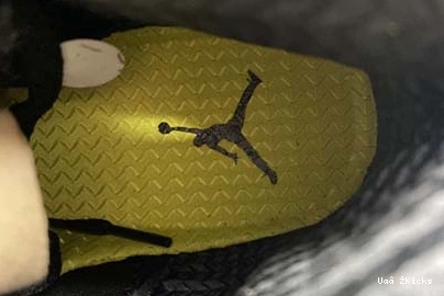 CK6631-307 Air Jordan Jordan “Oregon” Air 5 DailyWear 598 5 0816